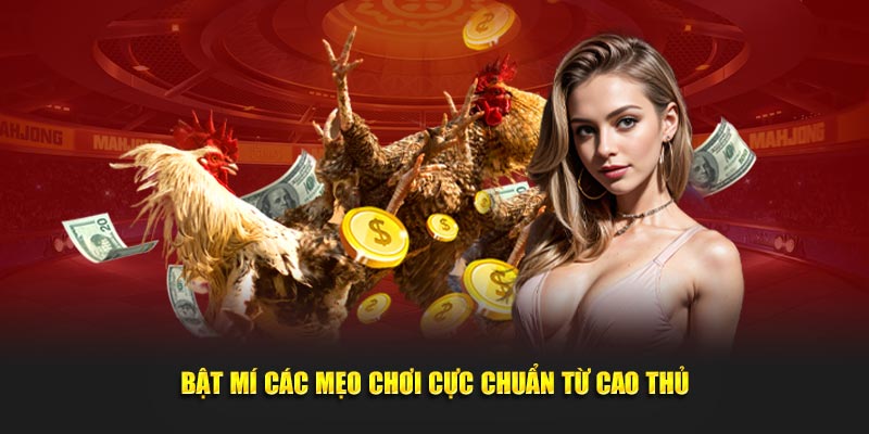 Bật mí các mẹo chơi cực chuẩn từ cao thủ