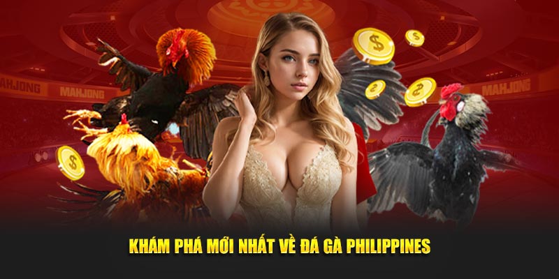 Khám phá mới nhất về đá gà philippines