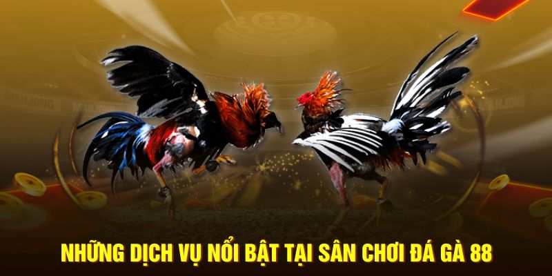 Những dịch vụ nổi bật tại sân chơi đá gà 88