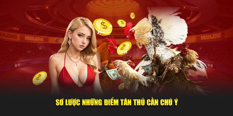 Sơ lược những điểm tân thủ cần chú ý khi trải nghiệm