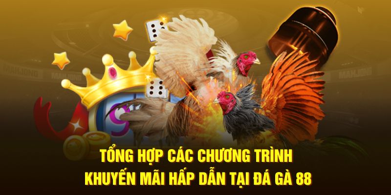 Tổng hợp các chương trình khuyến mãi hấp dẫn tại Đá Gà 88